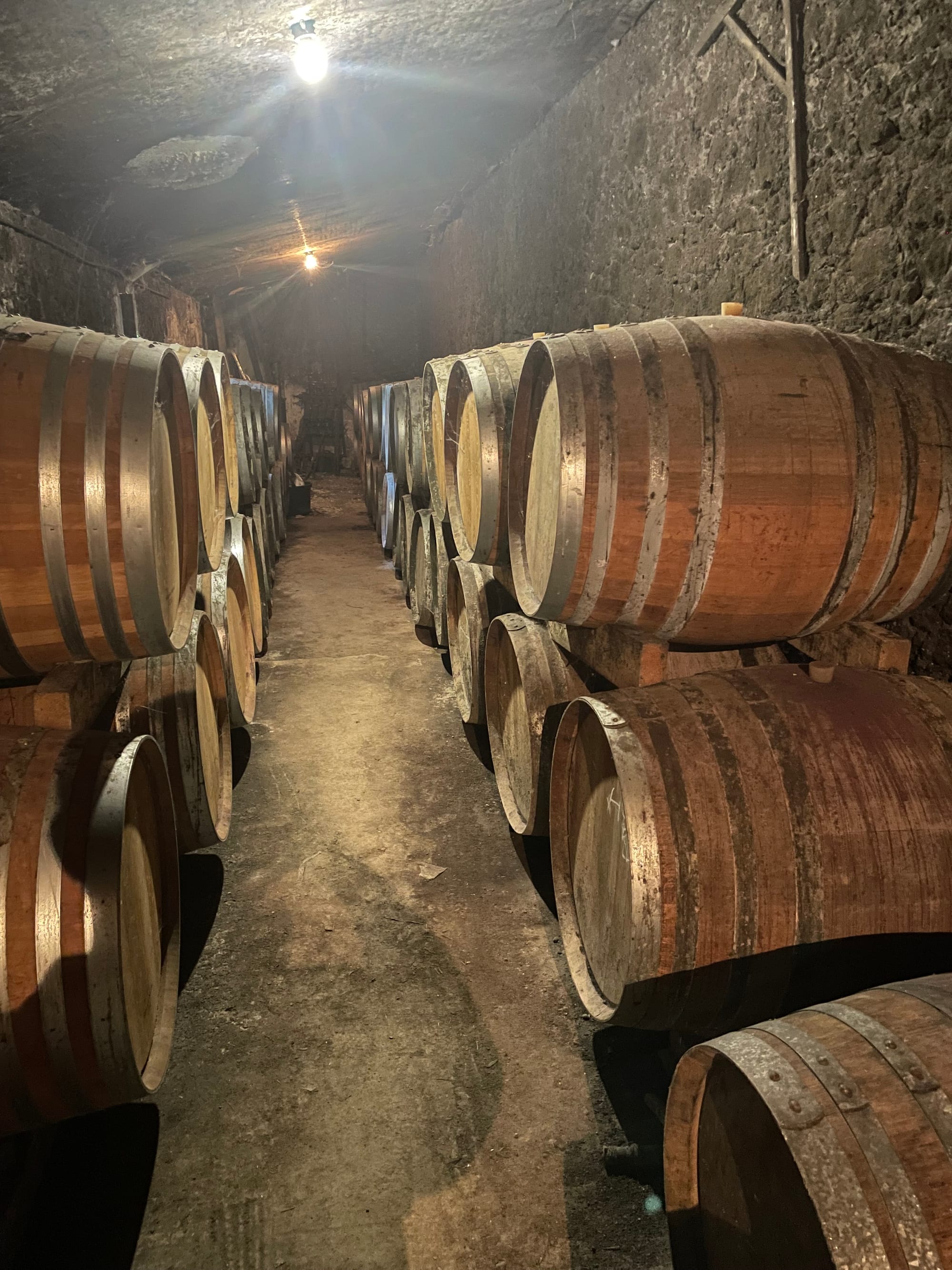 Le chai à barriques du Château Lariveau by J. NICOLAS