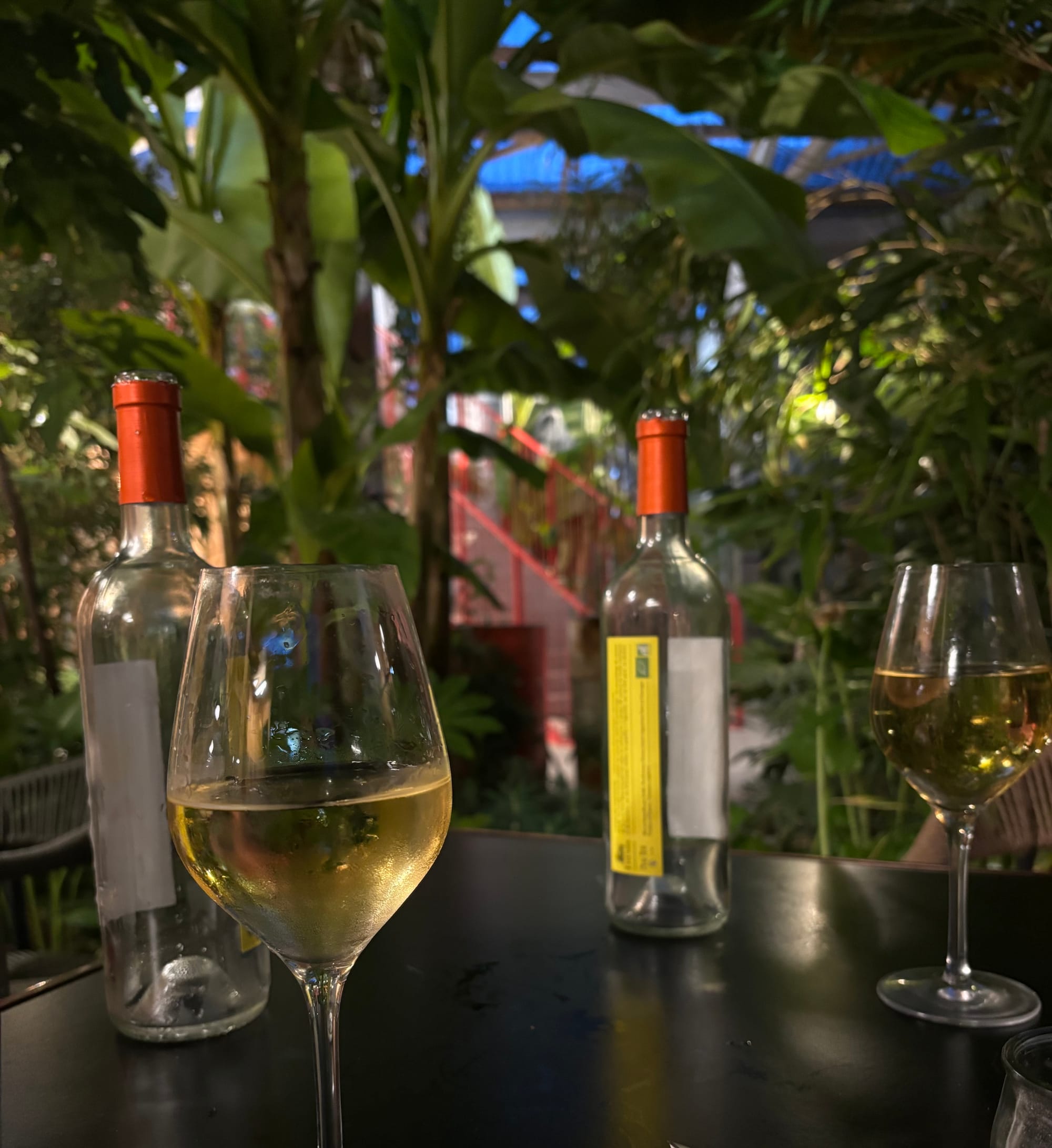 Œnotourisme dans le Bordelais : un vignoble qui attire 6,8 millions de visiteurs par an