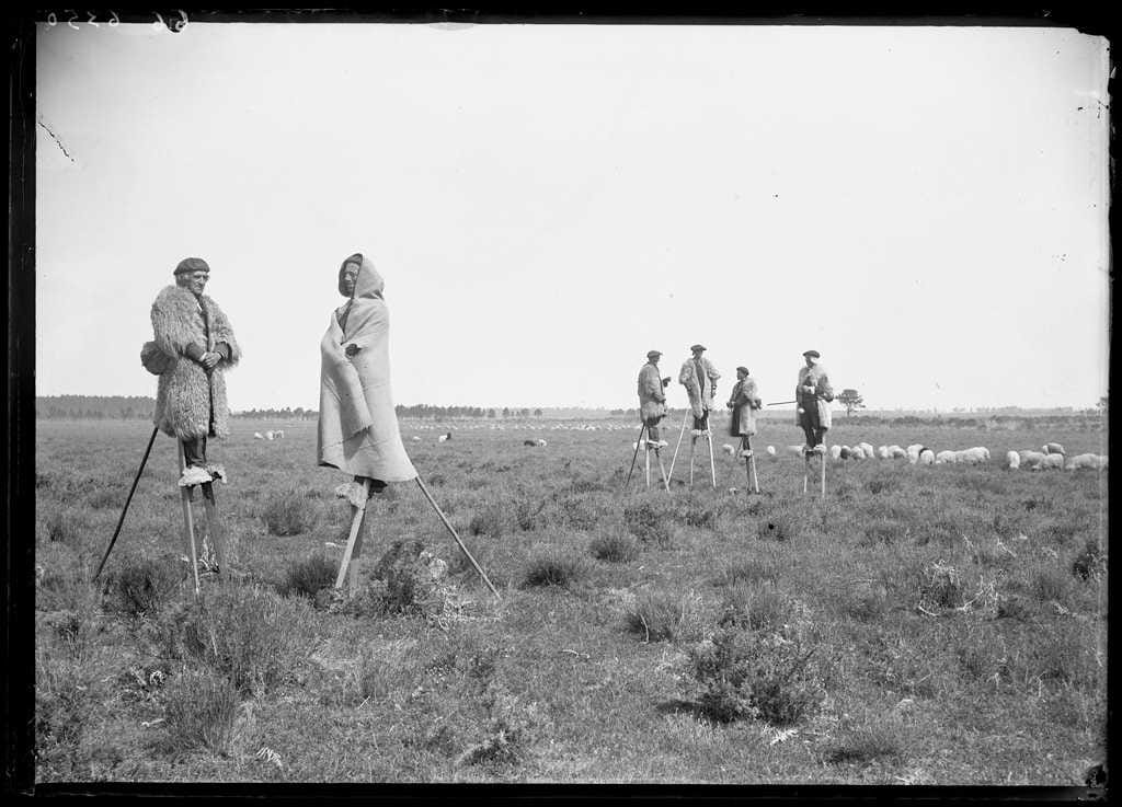 Bergers des Landes sur leurs échasses milieu XIXe Photo de Félix Arnaudin