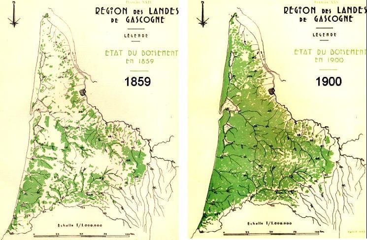 Evolution du boisement des Landes entre 1859 et 1900