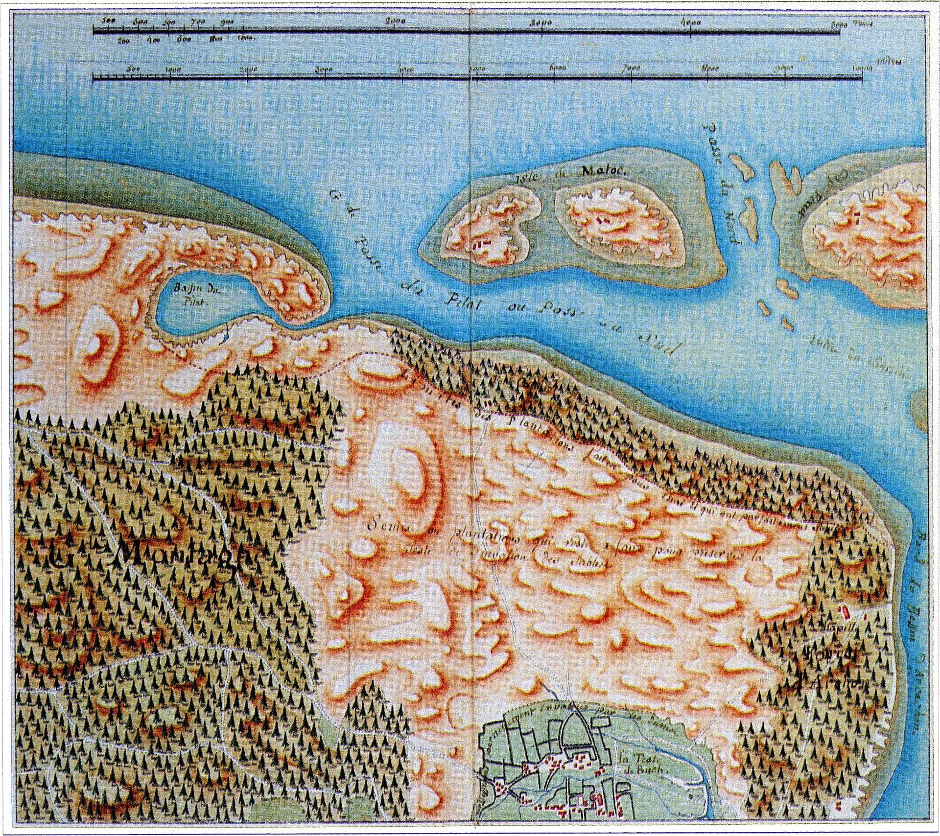 Carte élaborée par Brémontier au XIXe siècle, montrant les semis réalisés à La Teste de Buch.