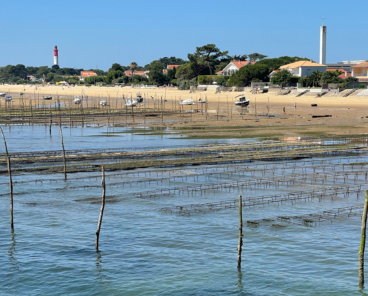 Bassin d’Arcachon : pollution chimique @Aqui.Media