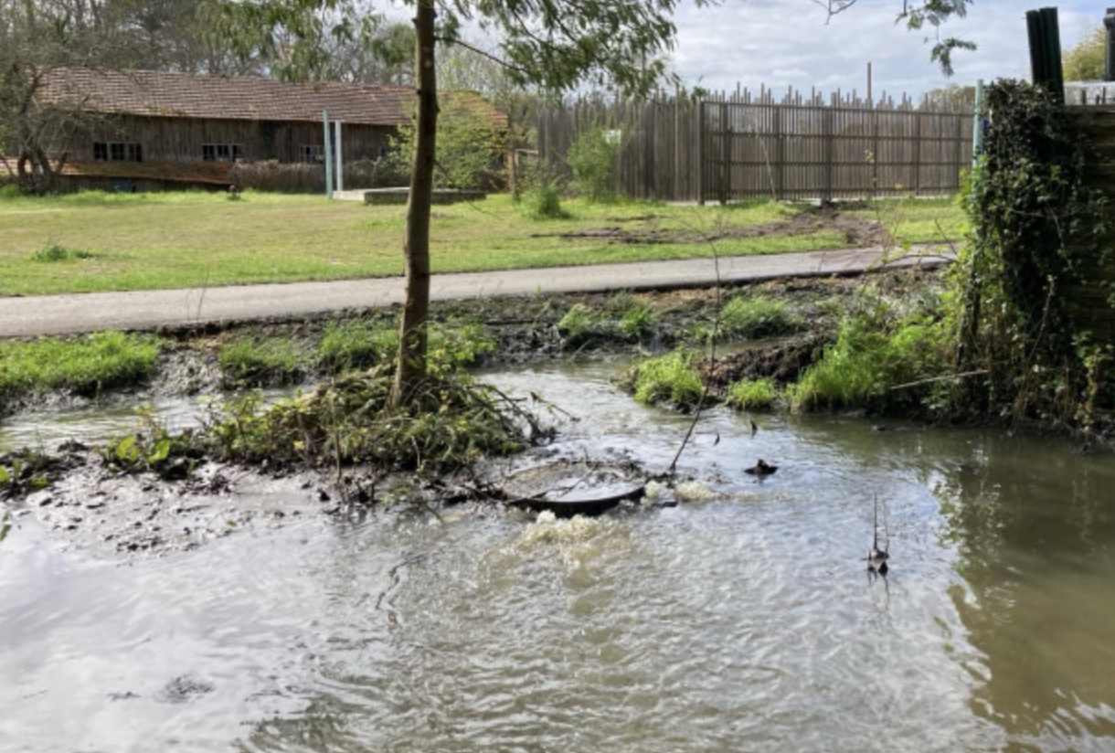 Lanton : nouveau débordement d’eaux usées