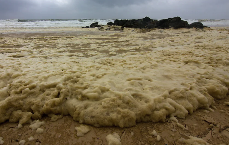 Pollution par les eaux usées au Pays Basque
