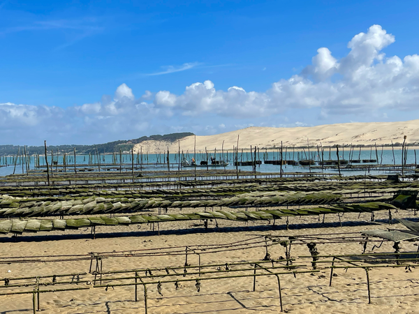 La Teste de Buch Parcs à huitres à Arguin Dune du Pilat.