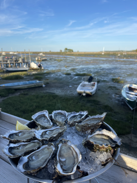 Top 10 des cabanes à huîtres de l’automne sur le Bassin d’Arcachon