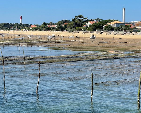 Rejet d’eaux usées du Bassin d'Arcachon @Aqui.Media