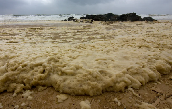 Pollution par les eaux usées au Pays Basque