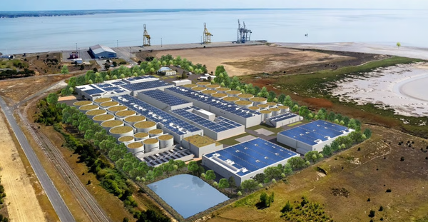 Pure Salmon en Gironde Image @Pure Salmon